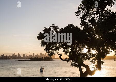 Blick auf den Hafen von Sydney von Milk Beach, Vaucluse, mit Blick auf die Skyline des Geschäftsviertels von Sydney in der Ferne, Sydney, Australien. Stockfoto