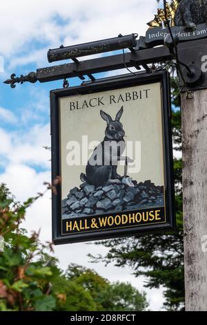 Traditionelles Hall & Woodhouse Pub Schild für das "Black Rabbit" ein Gastropub in Arundel in West Sussex, England, Großbritannien Stockfoto