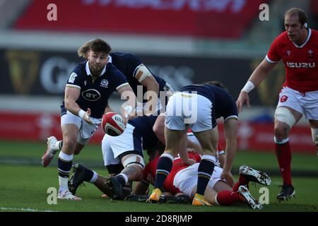 Llanelli, Großbritannien. Oktober 2020. Ali Price von Schottland in Aktion. Guinness Six Nations 2020 Championship match, Wales gegen Schottland im Parc Y Scarlets in Llanelli, South Wales am Samstag, 31. Oktober 2020. Dieses Bild darf nur für redaktionelle Zwecke verwendet werden. Redaktionelle Verwendung nur, Bild von Andrew Orchard / Andrew Orchard Sport Fotografie / Alamy Live Nachrichten Kredit: Andrew Orchard Sport Fotografie / Alamy Live Nachrichten Stockfoto