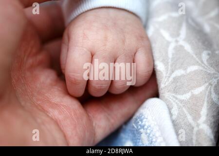 Kleine Finger, Hände eines neugeborenen Babys in der Hand eines Mannes Nahaufnahme. Kleine Tiefe des Fokusbereichs. Stockfoto