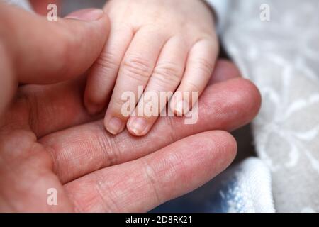 Kleine Finger, Hände eines neugeborenen Babys in der Hand eines Mannes Nahaufnahme. Kleine Tiefe des Fokusbereichs. Stockfoto