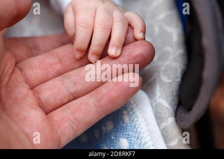 Kleine Finger, Hände eines neugeborenen Babys in der Hand eines Mannes Nahaufnahme. Kleine Tiefe des Fokusbereichs. Stockfoto