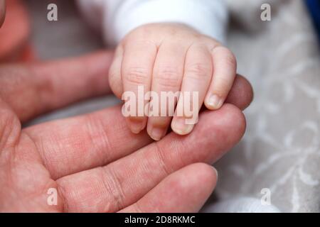 Kleine Finger, Hände eines neugeborenen Babys in der Hand eines Mannes Nahaufnahme. Kleine Tiefe des Fokusbereichs. Stockfoto