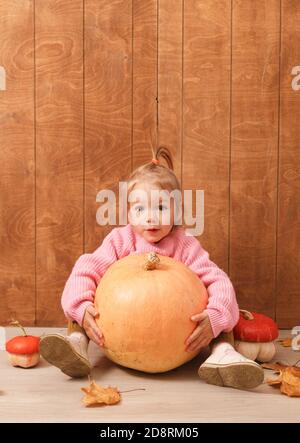 Ein kleines nettes Mädchen in einem rosa Pullover umarmt ein Großer Kürbis, der auf dem Boden auf einem Holzhintergrund sitzt Stockfoto