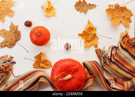 Stillleben im Herbst. Blätter, Kürbisse, gestrickter Schal auf weißem Hintergrund Draufsicht. Stockfoto