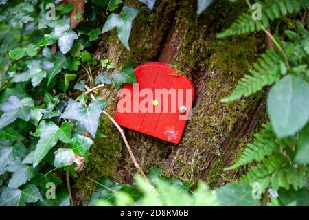 Kleine rote Feentüren auf einem Ast Stockfoto