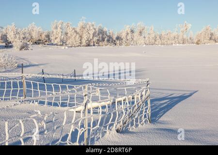 Raureif bedeckte Zaun in einem Feld Stockfoto
