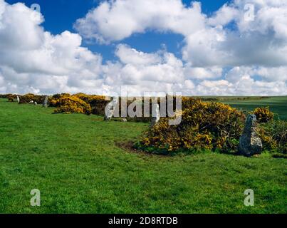 Blick nach Nordosten auf 5 aufrechte Steine & 2 Stumps der Nine Maidens Steinreihe auf der Südseite von St Breock Downs, Cornwall, England, UK. Stockfoto