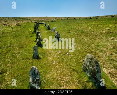 Schaufel nach unten Steinreihen & vierfach Kreis, Dartmoor, Devon, England, UK, Blick SSW bergauf entlang Reihe 2 zum Zistenkreis & gefallenen Portalsteine. Stockfoto