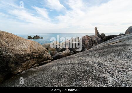 Junger Mann mit langen Haaren in einem weißen T-Shirt, auf einem Felsen stehend und mit Blick auf das Meer. Reisen. Stockfoto