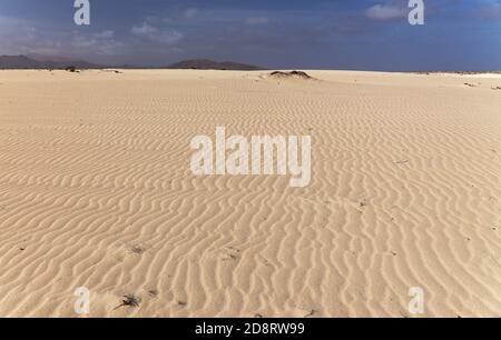 Fuerteventura, Kanarische Inseln, Naturpark Dünen von Corralejo im Norden der Insel Stockfoto