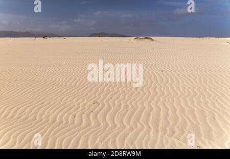 Fuerteventura, Kanarische Inseln, Naturpark Dünen von Corralejo im Norden der Insel Stockfoto