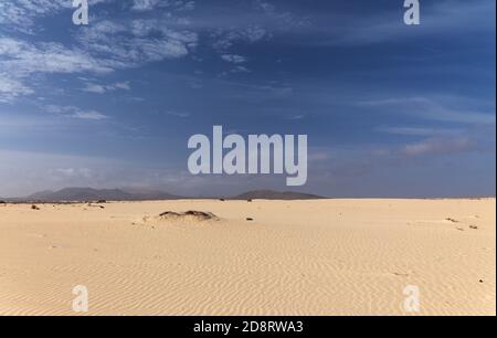 Fuerteventura, Kanarische Inseln, Naturpark Dünen von Corralejo im Norden der Insel Stockfoto