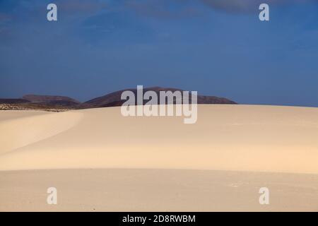 Fuerteventura, Kanarische Inseln, Naturpark Dünen von Corralejo im Norden der Insel Stockfoto