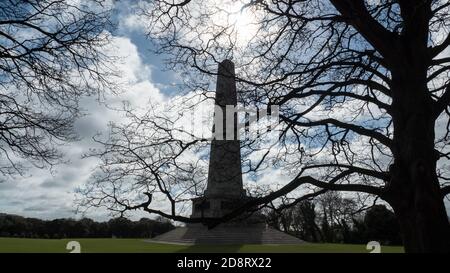 Blick auf das Wellington Monument im Phoenix Park durch Baumzweige Stockfoto