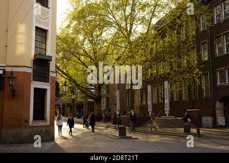 Typische romantische Straße in der historischen Altstadt mit alten Backsteingebäuden und Pflastersteinpflaster. Diese Straße führt zum Rhein. Stockfoto