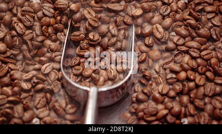 Nahaufnahme von Kaffeesamen. Duftende Kaffeebohnen sind gerösteter Rauch kommt von Kaffeebohnen. Stockfoto