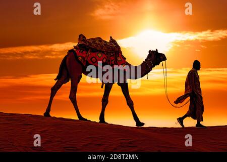 Cameleers, Kamelfahrer bei Sonnenuntergang. Thar-Wüste bei Sonnenuntergang Jaisalmer, Rajasthan, Indien. Stockfoto