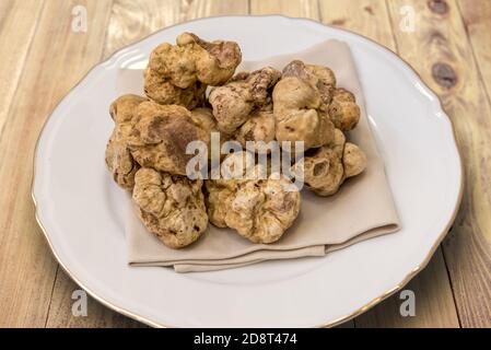 Weiße Trüffel aus Alba in weißer Schale auf Holzboden Stockfoto