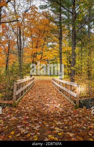 Herbstfärbeblätter auf einer Brücke im Jay Cooke State Park in Carlton, Minnesota Stockfoto