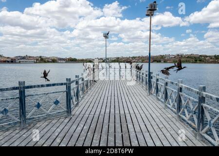 Städtische Lagune in der Stadt Morada Nova in der Tiefes Innere von Brasilien an einem sonnigen Tag mit aquatischen Vögel Stockfoto