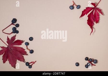 Rahmen mit trockenen roten Blättern und schwarzen Beeren auf beigem Hintergrund. Flach liegend, Draufsicht. Herbst, Herbst Konzept. Stockfoto