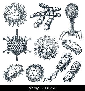 Viren und Bakterien auf weißem Hintergrund isoliert. Handgezeichnete Vektorskizze. Hepatitis, Rotavirus, Coronavirus, Koch Bacillus, HIV A Stock Vektor