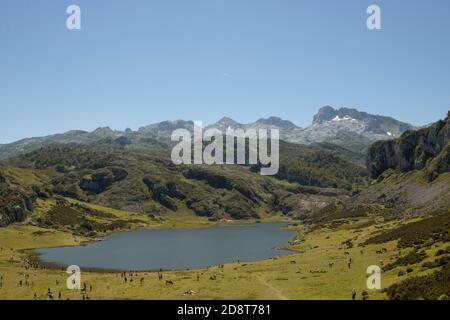 Landschaft mit Covadonga Seen in Picos de Europa in Spanien Stockfoto