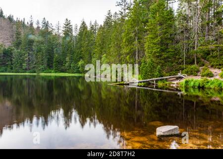 Wildsee im Schwarzwald, Deutschland Stockfoto