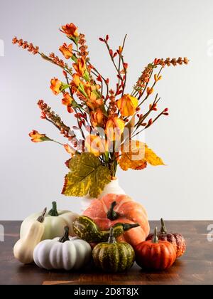 Orange Herbstblumen in einer Vase mit kleinen Orange, Grün und Weiß Kürbisse aufgereiht vorne auf einem Holztisch mit einer weißen Wand für Halloween, Thanksgi Stockfoto