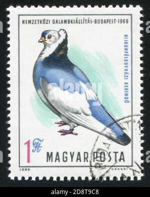UNGARN - UM 1969: Briefmarke gedruckt von Ungarn, zeigt Taube, um 1969 Stockfoto
