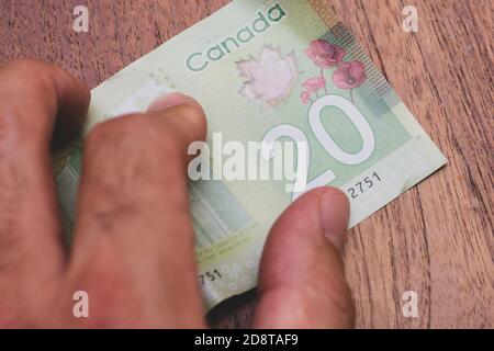 Personen Hand geben die Währung des Kanada - eine grüne zwanzig Dollar-Noten ausgebreitet auf einem braunen Tisch Hintergrund. Geldwechsel. Stockfoto