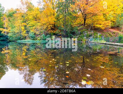 Schöne Reflexion der Herbstfarben in einem Teich in der Nähe von slotskogen park von göteborg schweden Stockfoto
