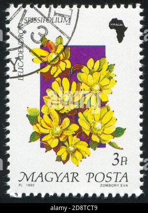 UNGARN - UM 1990: Stempel gedruckt von Ungarn, zeigt Blume, um 1990 Stockfoto