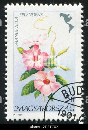 UNGARN - UM 1991: Stempel gedruckt von Ungarn, zeigt Blume, um 1991 Stockfoto