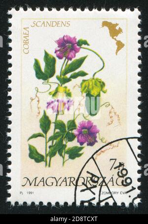 UNGARN - UM 1991: Stempel gedruckt von Ungarn, zeigt Blume, um 1991 Stockfoto