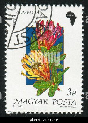 UNGARN - UM 1990: Stempel gedruckt von Ungarn, zeigt Blume, um 1990 Stockfoto