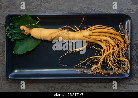 Frische Ginseng Wurzel auf schwarzem Teller mit grünen Blättern und Beeren Stockfoto