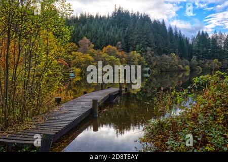 Loch Ard - Aberfoyle Stockfoto