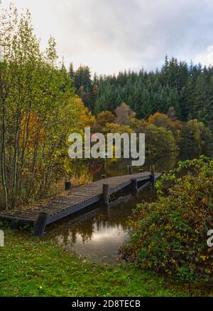 Loch Ard - Aberfoyle Stockfoto