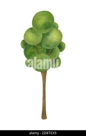 Aquarellbaum. Cartoon helle isolierte Illustration auf dem hellen Hintergrund. Stockfoto