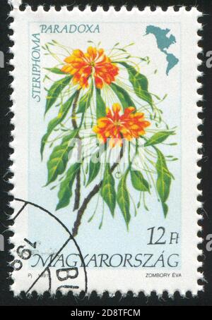 UNGARN - UM 1991: Stempel gedruckt von Ungarn, zeigt Blume, um 1991 Stockfoto