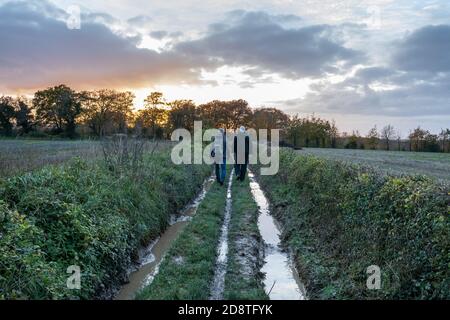 Zwei Männer, die nach dem Regen zwischen den Feldern bei Sonnenuntergang auf dem nassen schlammigen Landweg entlang wandern, Hampshire Countryside View, Großbritannien Stockfoto