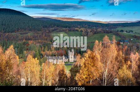 BALMORAL SCHLOSS UND ANWESEN VON BUNTEN BIRKEN UMGEBEN IN HERBST Stockfoto