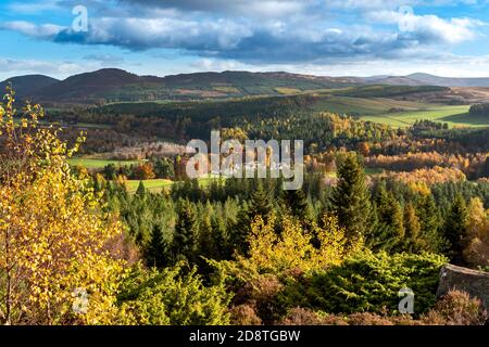 BALMORAL ESTATE RIVER DEE VALLEY ABERDEENSHIRE SCHOTTLAND GELB ASPEN UND BIRKEN BLÄTTER BLICK AUF GUTSHÄUSER BÄUME IM HERBST Stockfoto