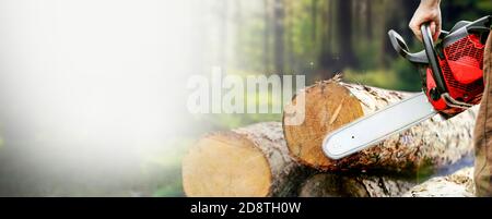 Holzfäller sägt Baum mit Kettensäge auf Sägewerk. Nahaufnahme Mann schneidet einen Baum, verschwommener Wald im Hintergrund. Breiteres Banner mit Platz für Kopien. Hochwertige Fotos Stockfoto
