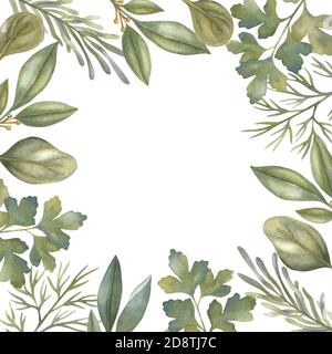 Aquarellrahmen mit Rosmarin, Petersilie, Lorbeerblatt, Salbei und Dill. Handgezeichnete helle Illustration mit Platz für Text. Stockfoto