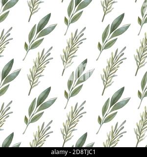 Aquarell Nahtloses Muster mit Salbei und Rosmarin auf hellem Hintergrund. Helle Cartoon handbemalte Illustration. Stockfoto