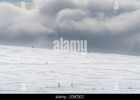 Langlauffahrer in den Bergen mit Schneesturm zieht in. In Der Nähe Von Hovringen, Nationalpark Rondane, Norwegen Stockfoto