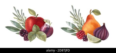 Aquarell Fruchtkompositionen mit Apfel, Limette, Birne, Pflaume, Feige und Beeren. Eine helle Illustration für gesunde frische Lebensmittel. Vegane Designelemente. Stockfoto